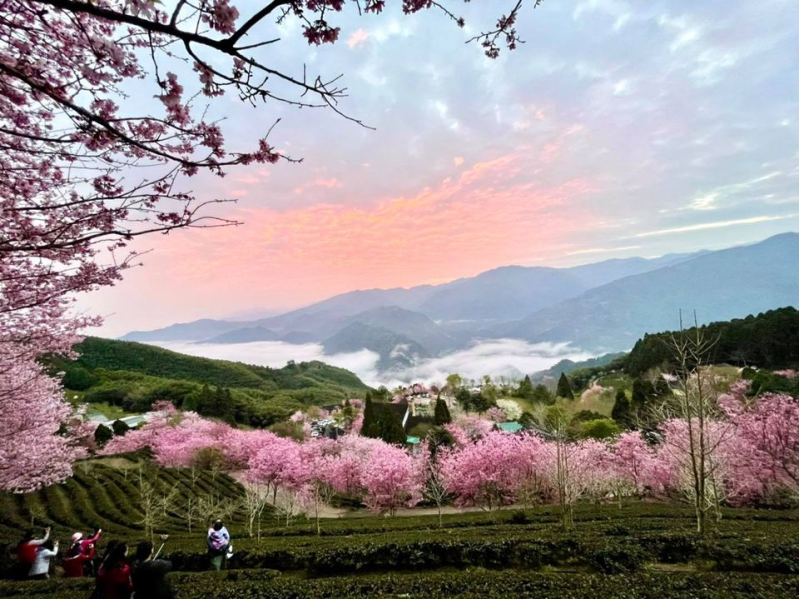 山上人家森 林農場