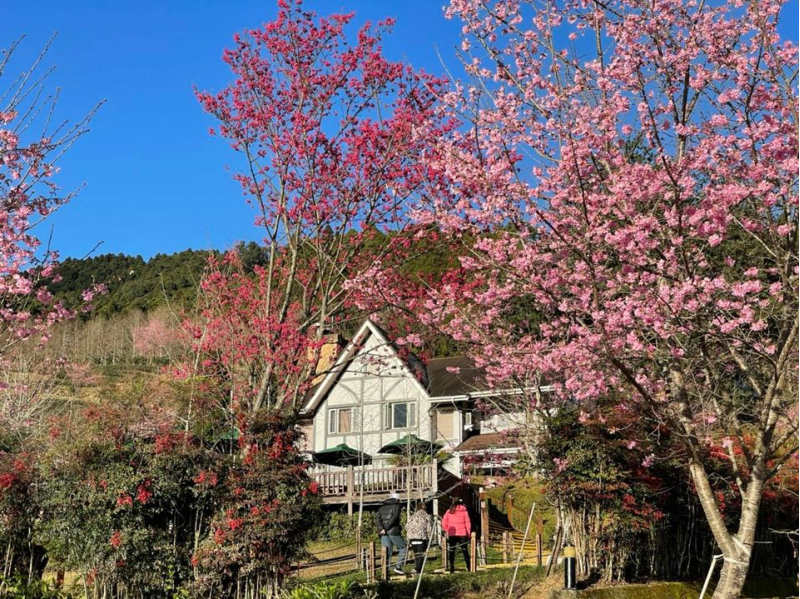 山上人家森 林農場