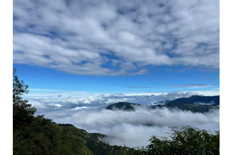 觀霧巨木群步道