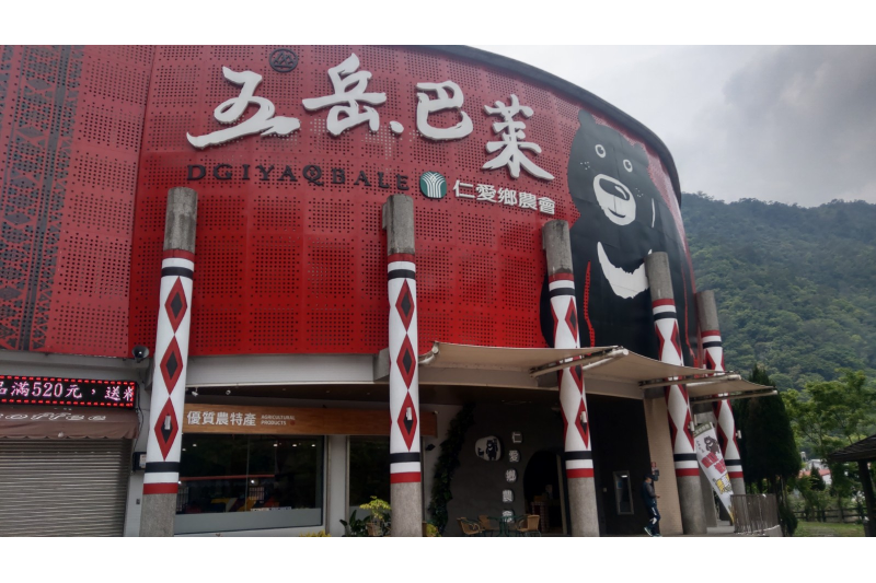 新竹出發合歡山賞高山杜鵑一日遊